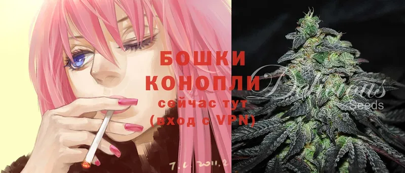 МАРИХУАНА Ganja  Богданович 